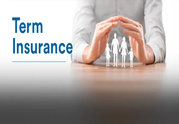 term insurance